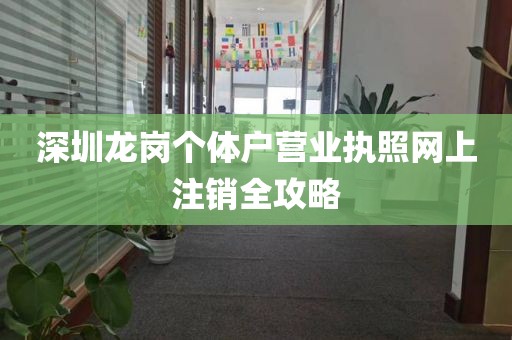深圳龙岗个体户营业执照网上注销全攻略