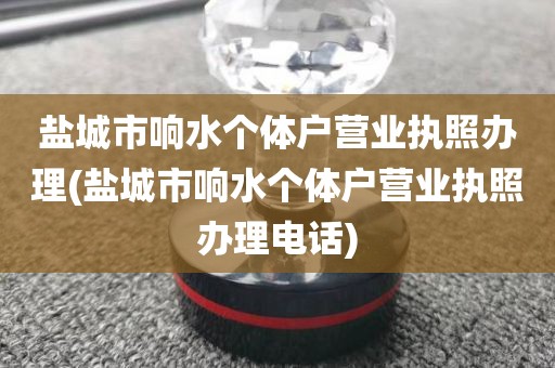 盐城市响水个体户营业执照办理(盐城市响水个体户营业执照办理电话)