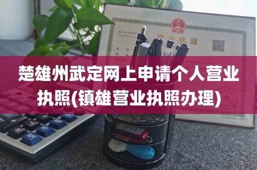 楚雄州武定网上申请个人营业执照(镇雄营业执照办理)
