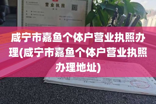 咸宁市嘉鱼个体户营业执照办理(咸宁市嘉鱼个体户营业执照办理地址)