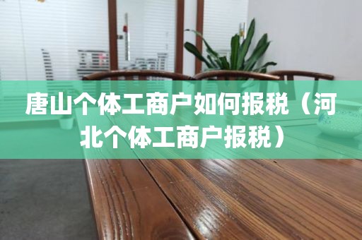 唐山个体工商户如何报税（河北个体工商户报税）