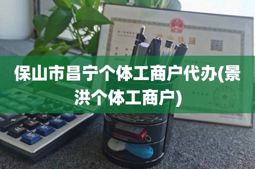 保山市昌宁个体工商户代办(景洪个体工商户)