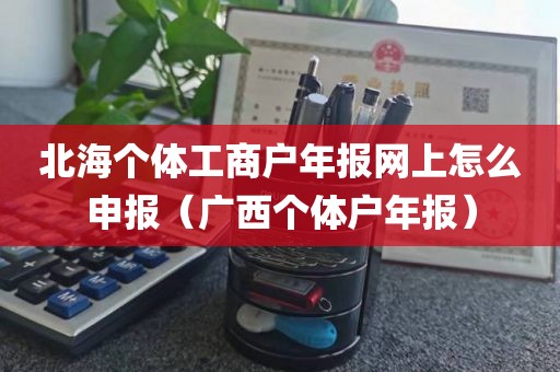 北海个体工商户年报网上怎么申报（广西个体户年报）
