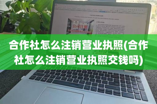 合作社怎么注销营业执照(合作社怎么注销营业执照交钱吗)