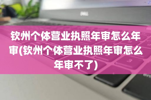钦州个体营业执照年审怎么年审(钦州个体营业执照年审怎么年审不了)