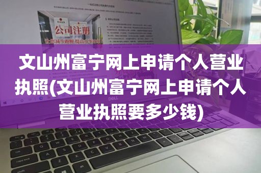 文山州富宁网上申请个人营业执照(文山州富宁网上申请个人营业执照要多少钱)