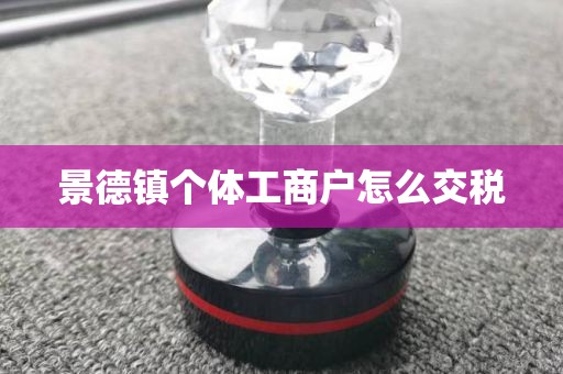 景德镇个体工商户怎么交税
