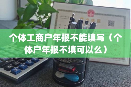 个体工商户年报不能填写（个体户年报不填可以么）