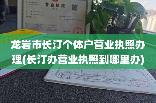 龙岩市长汀个体户营业执照办理(长汀办营业执照到哪里办)