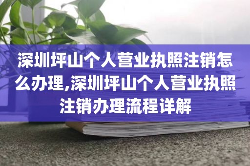 深圳坪山个人营业执照注销怎么办理,深圳坪山个人营业执照注销办理流程详解