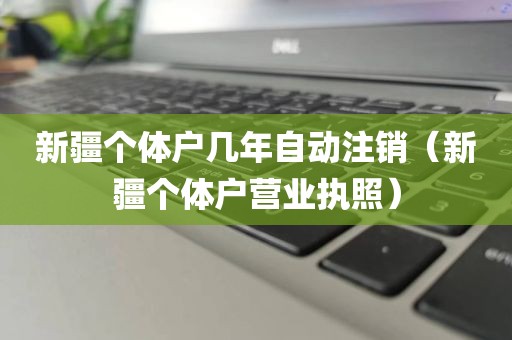 新疆个体户几年自动注销（新疆个体户营业执照）