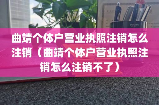 曲靖个体户营业执照注销怎么注销（曲靖个体户营业执照注销怎么注销不了）