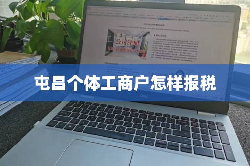 屯昌个体工商户怎样报税