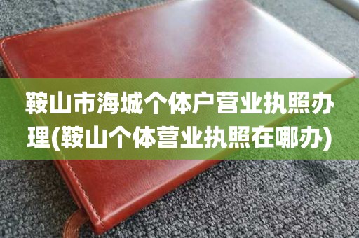鞍山市海城个体户营业执照办理(鞍山个体营业执照在哪办)
