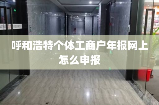 呼和浩特个体工商户年报网上怎么申报