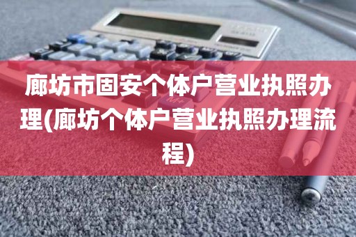 廊坊市固安个体户营业执照办理(廊坊个体户营业执照办理流程)