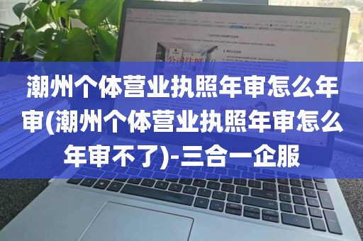 潮州个体营业执照年审怎么年审(潮州个体营业执照年审怎么年审不了)-三合一企服