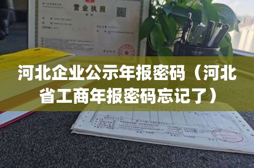 河北企业公示年报密码（河北省工商年报密码忘记了）