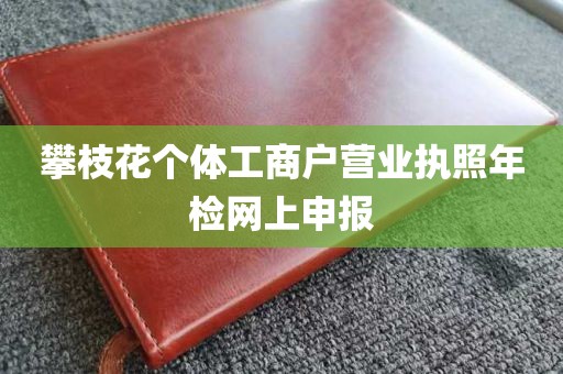 攀枝花个体工商户营业执照年检网上申报