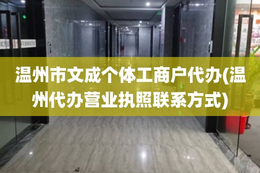 温州市文成个体工商户代办(温州代办营业执照联系方式)