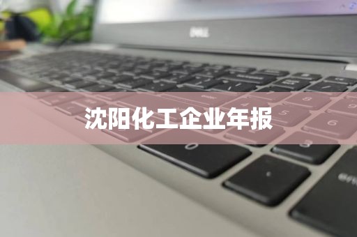 沈阳化工企业年报
