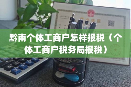 黔南个体工商户怎样报税（个体工商户税务局报税）