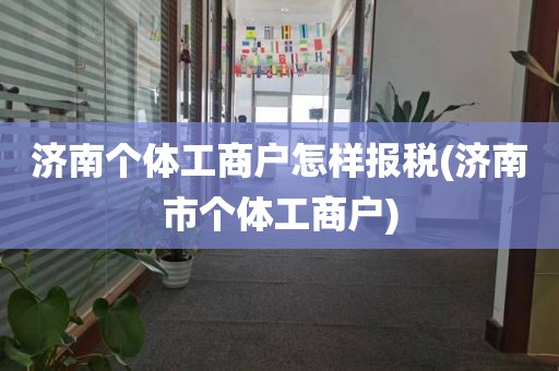 济南个体工商户怎样报税(济南市个体工商户)
