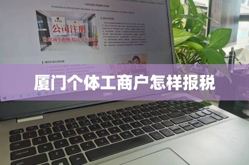 厦门个体工商户怎样报税