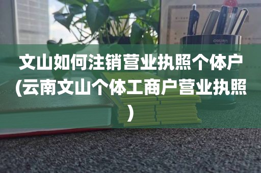 文山如何注销营业执照个体户(云南文山个体工商户营业执照)