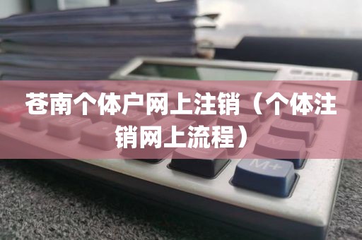 苍南个体户网上注销（个体注销网上流程）