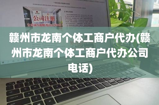 赣州市龙南个体工商户代办(赣州市龙南个体工商户代办公司电话)