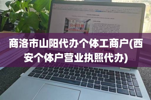 商洛市山阳代办个体工商户(西安个体户营业执照代办)