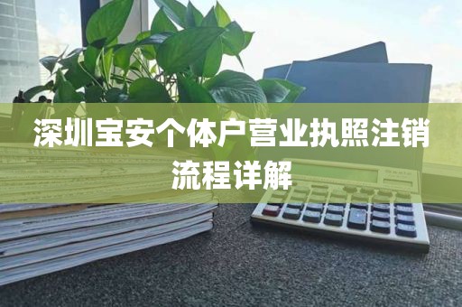 深圳宝安个体户营业执照注销流程详解