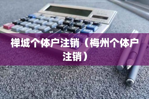 禅城个体户注销（梅州个体户注销）