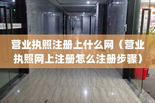 营业执照注册上什么网（营业执照网上注册怎么注册步骤）