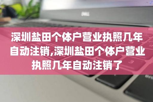 深圳盐田个体户营业执照几年自动注销,深圳盐田个体户营业执照几年自动注销了