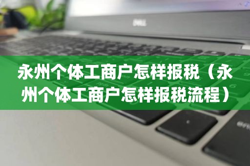 永州个体工商户怎样报税（永州个体工商户怎样报税流程）