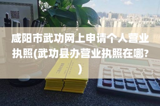 咸阳市武功网上申请个人营业执照(武功县办营业执照在哪?)