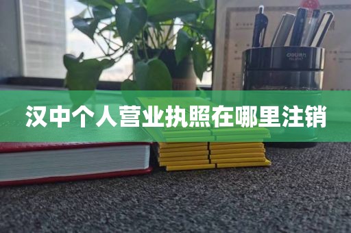 汉中个人营业执照在哪里注销