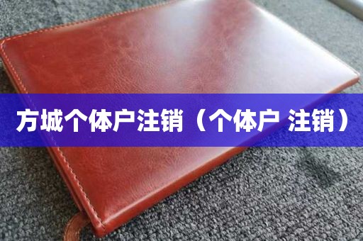 方城个体户注销（个体户 注销）