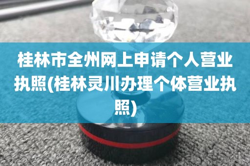 桂林市全州网上申请个人营业执照(桂林灵川办理个体营业执照)