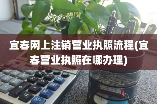 宜春网上注销营业执照流程(宜春营业执照在哪办理)