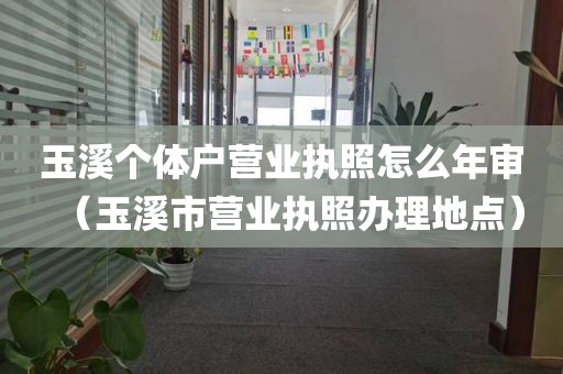 玉溪个体户营业执照怎么年审（玉溪市营业执照办理地点）