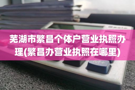 芜湖市繁昌个体户营业执照办理(繁昌办营业执照在哪里)