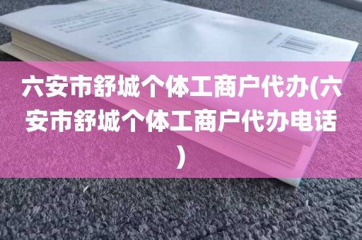 六安市舒城个体工商户代办(六安市舒城个体工商户代办电话)