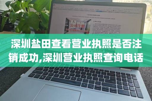 深圳盐田查看营业执照是否注销成功,深圳营业执照查询电话
