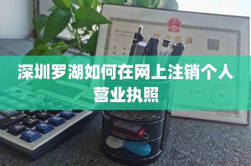 深圳罗湖如何在网上注销个人营业执照