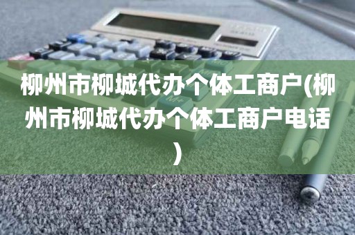 柳州市柳城代办个体工商户(柳州市柳城代办个体工商户电话)