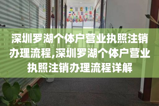 深圳罗湖个体户营业执照注销办理流程,深圳罗湖个体户营业执照注销办理流程详解