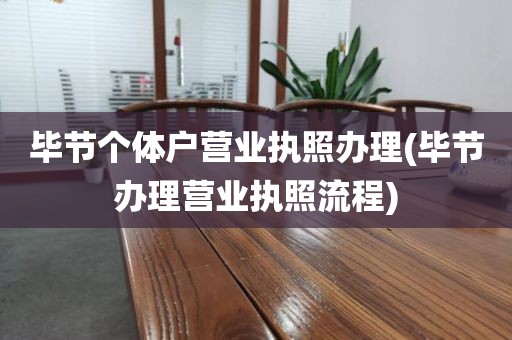 毕节个体户营业执照办理(毕节办理营业执照流程)